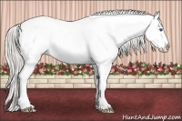 Horse Color:Silver Brown Roan Dun Splash Near Leopard 