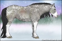 Horse Color:Grullo Ice Sabino