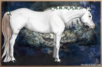 Horse Color:Classic Champagne Roan Blanket
