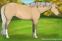 Horse Color:Silver Buckskin Roan 