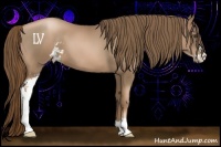 Horse Color:Liver Chestnut Pearl Sabino