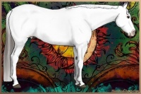 Horse Color:White Spotted Liver Chestnut Snowflake Varnish 