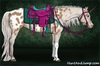 Horse Color:Silver Bay Dun Appaloosa