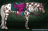 Horse Color:Silver Brown Appaloosa 