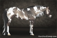 Horse Color:White Spotted Blue Onyx 