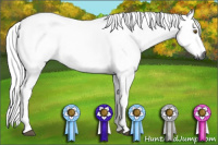 Horse Color:Gray Buckskin Roan 