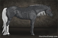 Horse Color:Silver Black Chinchilla 