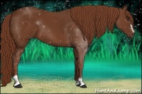 Horse Color:Chestnut Sabino