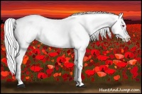 Horse Color:Silver Brown Chinchilla Onyx Sabino Blanket