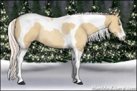 Horse Color:Silver Classic Champagne Dun Sabino Tobiano Rabicano