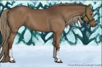 Horse Color:White Spotted Liver Chestnut 
