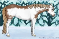 Horse Color:Chestnut Splash Frame 
