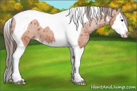 Horse Color:Bay Splash Tobiano Varnish