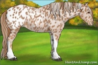 Horse Color:Chestnut Tobiano Blanket Rabicano 