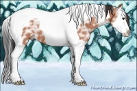 Horse Color:Bay Ice Splash Tobiano