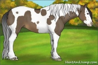 Horse Color:Brown Dun Splash Tobiano