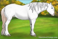 Horse Color:Smoky Black Ice Pearl Sabino Splash Tobiano Appaloosa 