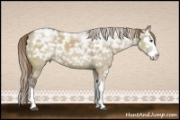 Horse Color:Liver Red Dun Ice Sabino Splash 