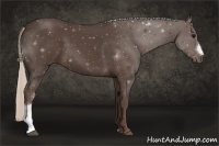 Horse Color:Silver Black 