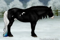 Horse Color:Watercolor Silver Blue Chinchilla Roan Pearl Sabino Appaloosa