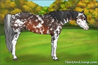 Horse Color:Brown Sabino