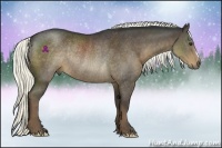 Horse Color:Liver Chestnut Rabicano 