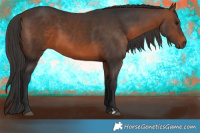 Horse Color:Brown 