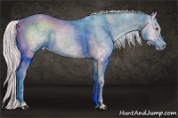 Horse Color:Watercolor Silver Black Ice Pearl 