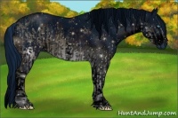 Horse Color:ERROR: UNKNOWN ANOMALY and ERROR: UNKNOWN ANOMALY