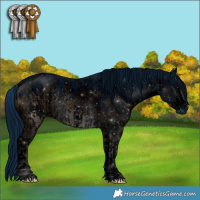 Horse Color:ERROR: UNKNOWN ANOMALY and ERROR: UNKNOWN ANOMALY