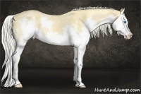 Horse Color:Palomino Ice Splash 