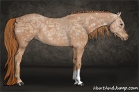 Horse Color:Chestnut Ice 