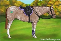 Horse Color:Chestnut Ice 
