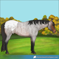 Horse Color:Brown Roan Varnish 