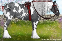 Horse Color:White Spotted Silver Black Chinchilla Rabicano 