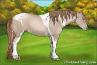 Horse Color:Smoky Black Pearl Tobiano