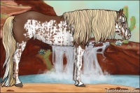 Horse Color:Chestnut Splash Frame  and Chestnut Splash Frame 