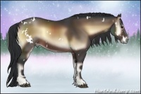 Horse Color:White Spotted Brown Onyx 