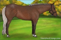 Horse Color:Silver Bay 