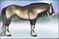 Horse Color:Brown Onyx