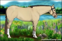 Horse Color:Classic Champagne Dun 