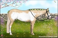 Horse Color:Gold Cream Champagne Frame 