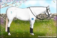 Horse Color:Chestnut Tobiano Snowflake Varnish