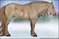 Horse Color:Liver Red Dun Ice Rabicano 