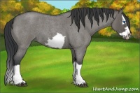Horse Color:Grullo Roan Splash Frame 