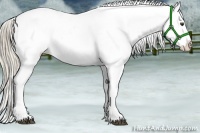 Horse Color:White Spotted Palomino Dun Appaloosa Rabicano 