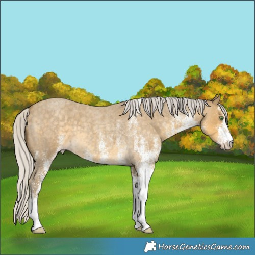 Horse Color:White Spotted Silver Classic Cream Champagne Roan 