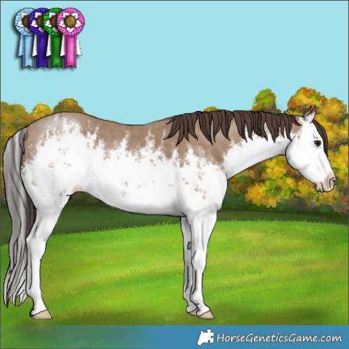 Horse Color:White Spotted Classic Champagne Splash 