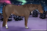 Horse Color:Liver Red Roan Sabino 