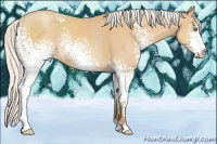 Horse Color:White Spotted Silver Amber Champagne 